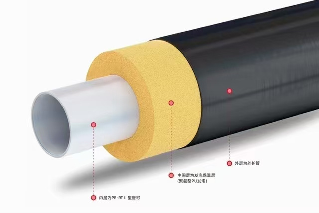 來(lái)公司的第二天(圖2) 來(lái)公司的第二天(圖2)